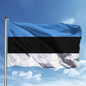 Yeminli Estonca Tercme zmir Certified Translation Estonian Yeminli eviri Brosue